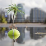 The last resort – Little people project