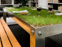 picnic-table picnic-table
