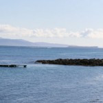 Isle of Mull from Treshnish Isles